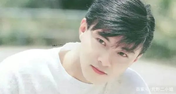 张卫健为什么不火了？