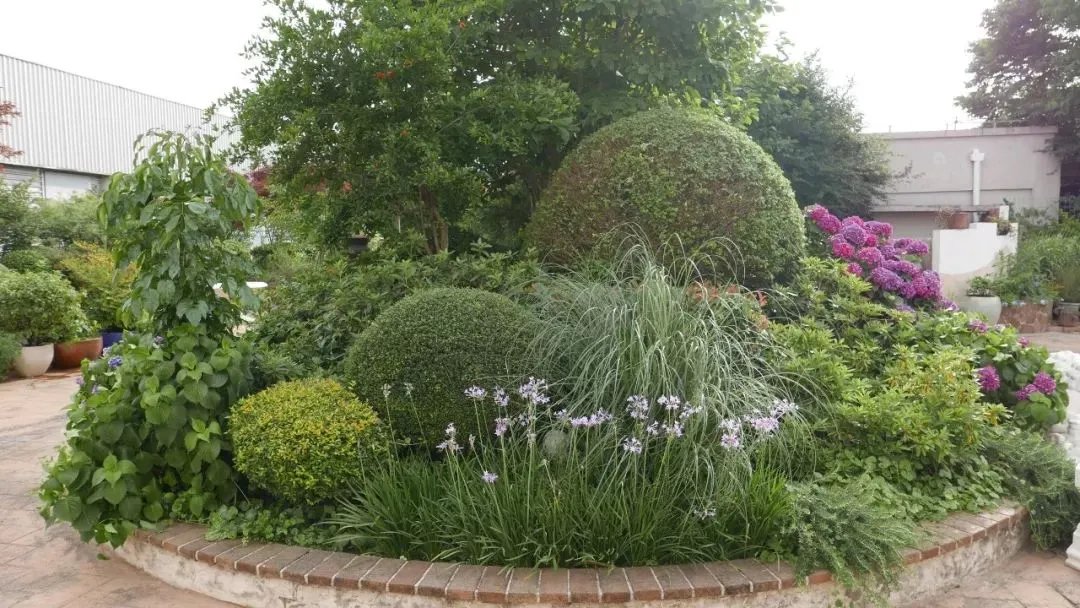 原创:花境按植物材料的分类及各自优缺点