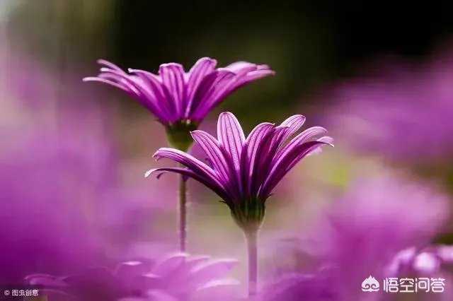 范冰冰美容院开业剪彩，你怎么看？