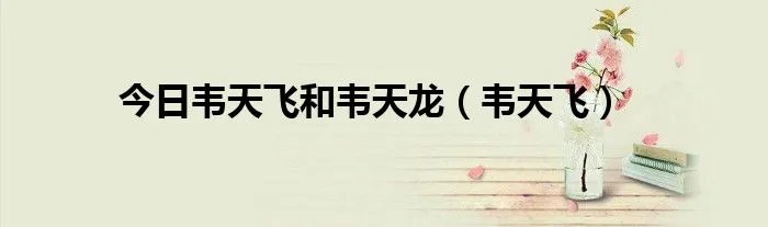 今日韦天飞和韦天龙（韦天飞）