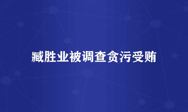 臧胜业被调查贪污受贿