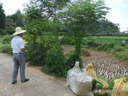 怎么用土法丈量不规则的田土面积？