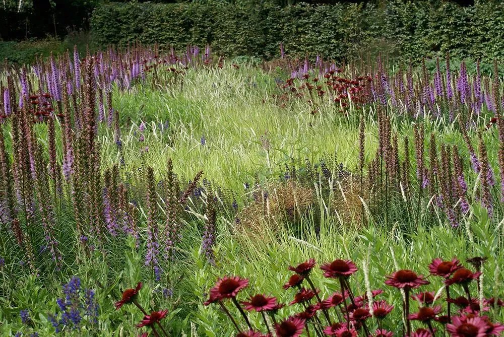 原创:花境按植物材料的分类及各自优缺点