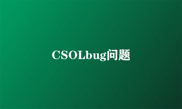 CSOLbug问题