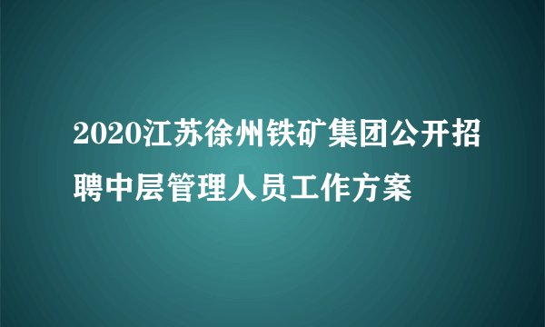 2020江苏徐州铁矿集团公开招聘中层管理人员工作方案