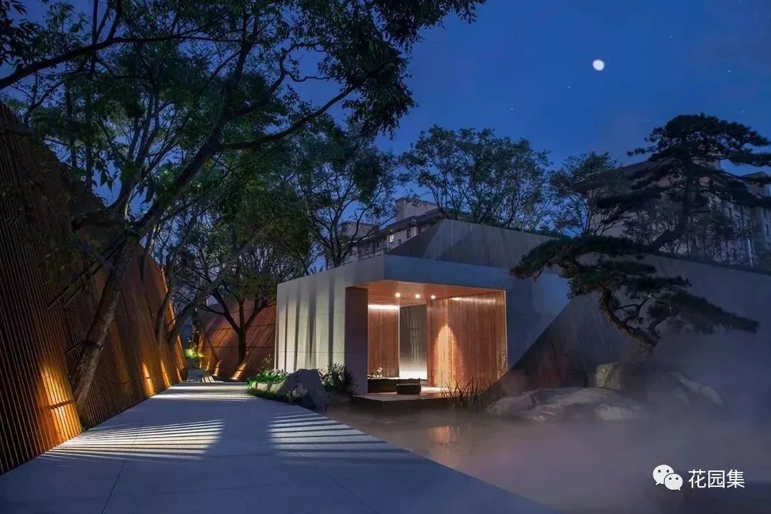 造型松，无奇不自由！气质庭院必备元素