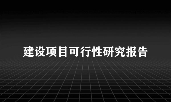 建设项目可行性研究报告