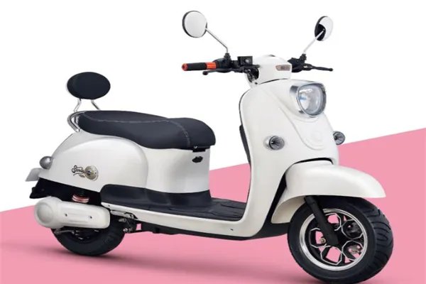 中国最好的十大电动车：飞鸽上榜，捷安特第一