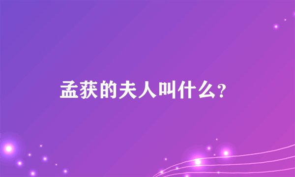 孟获的夫人叫什么？