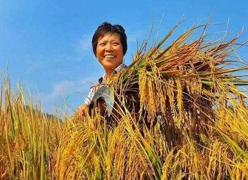 王福重事件处理结果