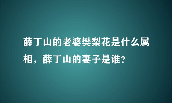 薛丁山的老婆樊梨花是什么属相，薛丁山的妻子是谁？