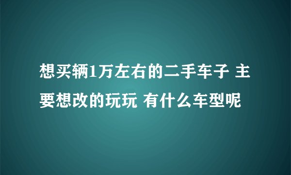 想买辆1万左右的二手车子 主要想改的玩玩 有什么车型呢