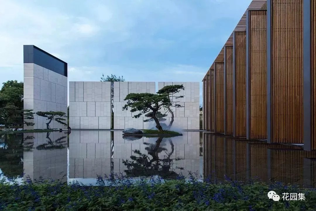 造型松，无奇不自由！气质庭院必备元素