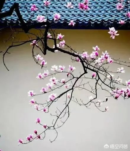 你认为《凄凉别墅》是法国作家帕特里克.莫迪亚诺的代表作吗？