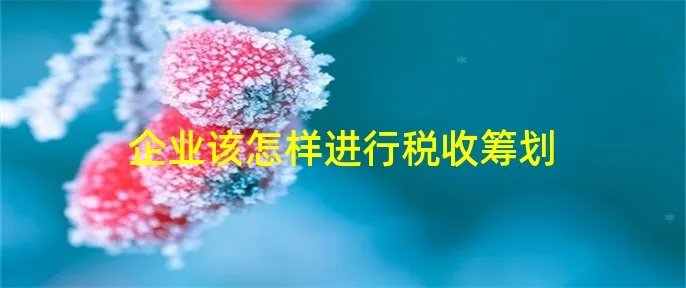 企业该怎样进行税收筹划