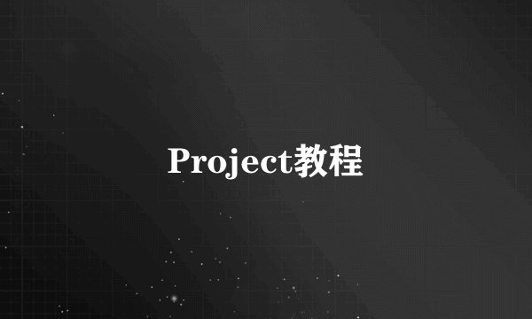 Project教程