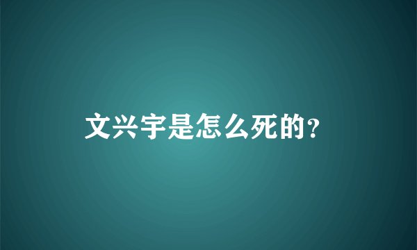 文兴宇是怎么死的？