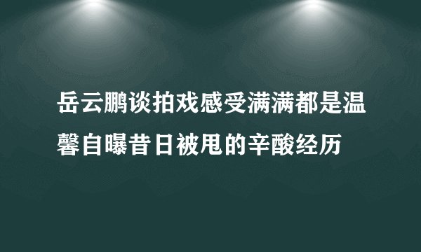 岳云鹏谈拍戏感受满满都是温馨自曝昔日被甩的辛酸经历