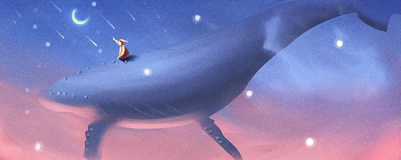 鲸鱼的特点 鲸有哪些特点