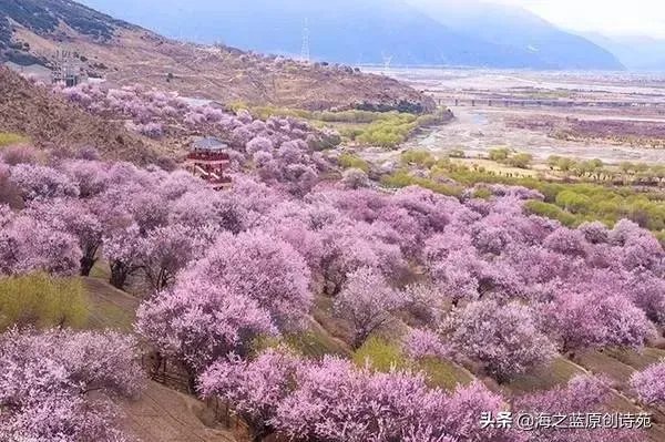 没有一个冬天不可逾越没有一个春天不会来临是什么意思？ - 芝士回答