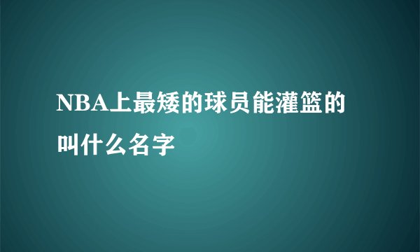NBA上最矮的球员能灌篮的叫什么名字