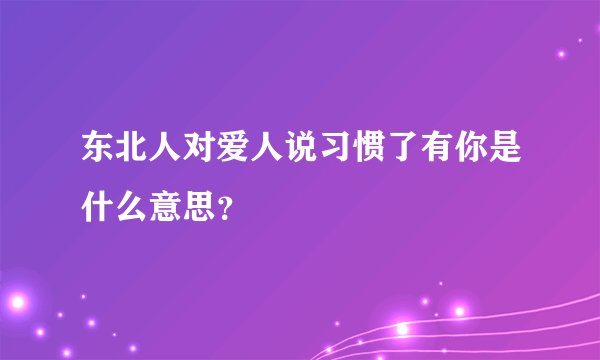 东北人对爱人说习惯了有你是什么意思？