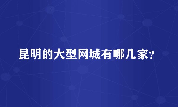 昆明的大型网城有哪几家？