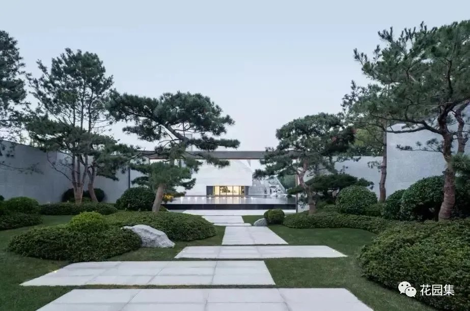 造型松，无奇不自由！气质庭院必备元素