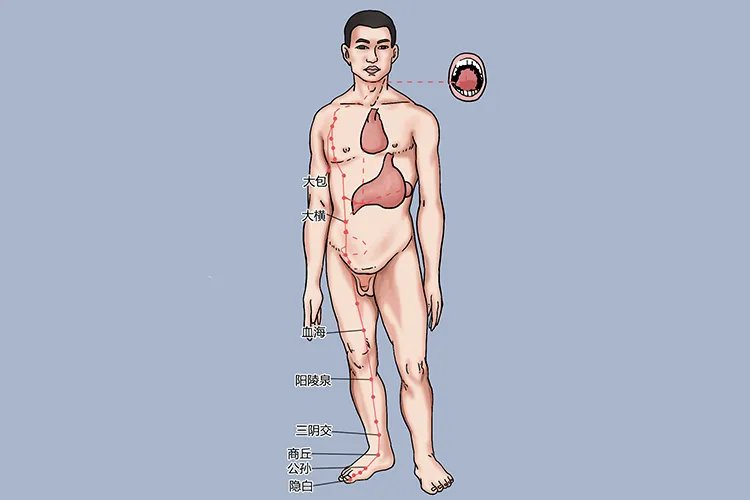 膝盖周围的经络图