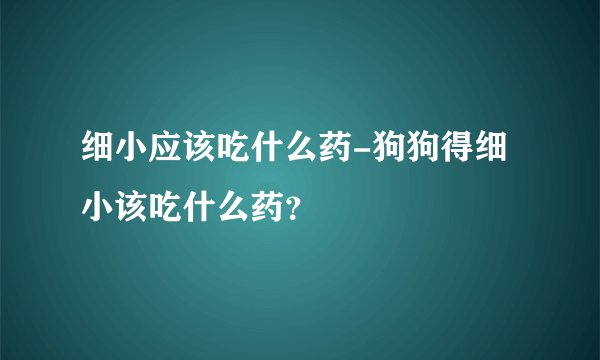 细小应该吃什么药-狗狗得细小该吃什么药？