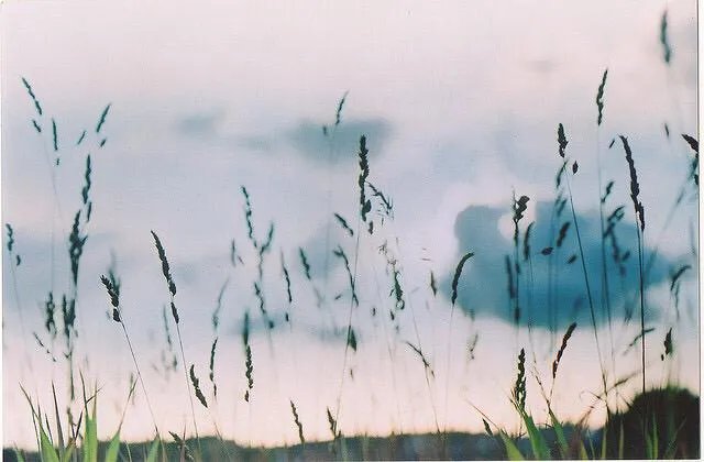 《罗曼蒂克消亡史》的票房为什么这么惨烈？