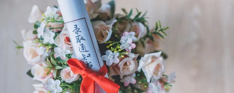 大学录取通知书什么时候能下来