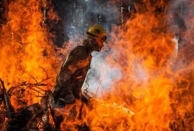 四川省九龙县发生森林火灾，如何有效预防森林火灾的发生？