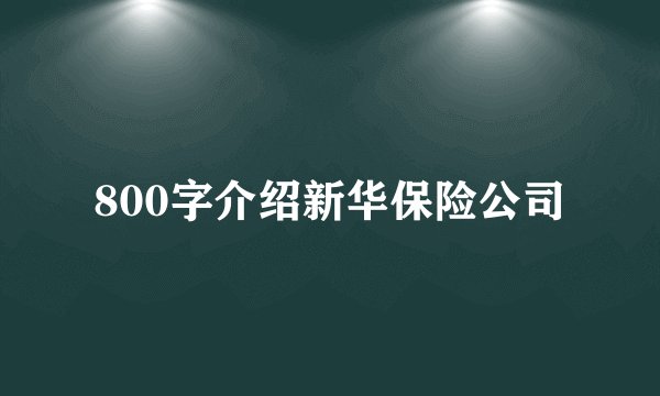 800字介绍新华保险公司