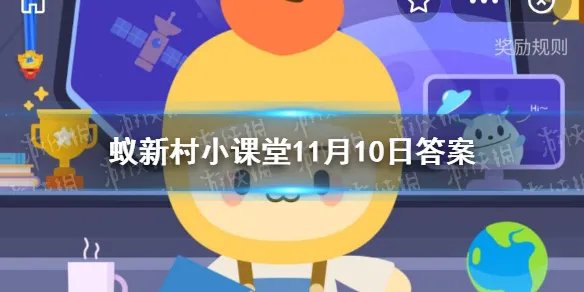 蚂蚁新村核桃种苗 全国最大的输出地新村小课堂11.10