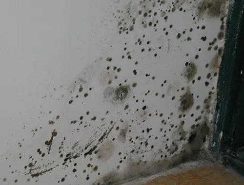 墙面返潮怎么处理  返潮处理方法有哪些