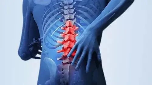 推推门的推去掉提手旁加上木念什么怎么组词