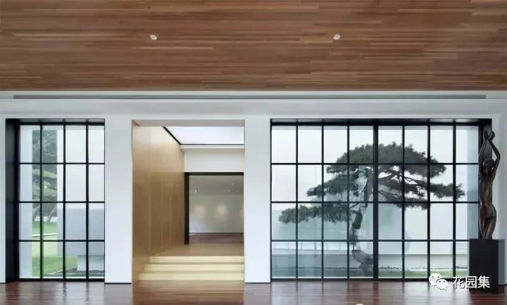 造型松，无奇不自由！气质庭院必备元素