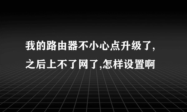 我的路由器不小心点升级了,之后上不了网了,怎样设置啊