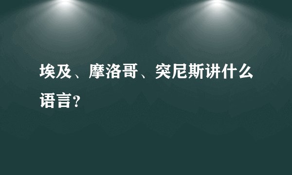 埃及、摩洛哥、突尼斯讲什么语言？