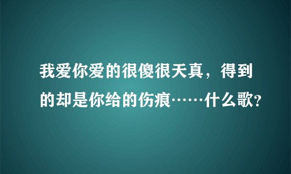 我爱你爱的很傻很天真，得到的却是你给的伤痕……什么歌？