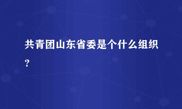 共青团山东省委是个什么组织？