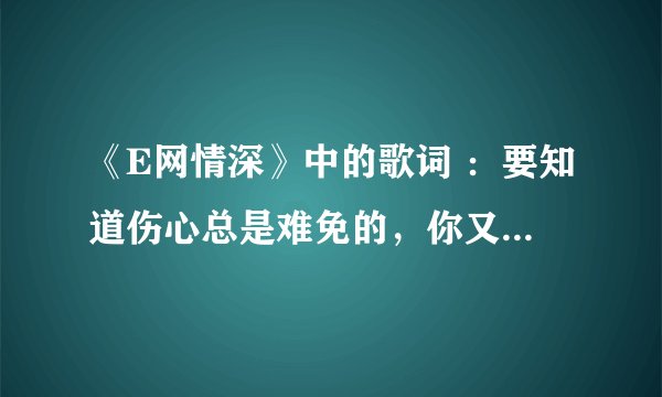 《E网情深》中的歌词 ：要知道伤心总是难免的，你又何苦一往情深。这个歌名叫什么
