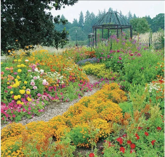 原创:花境按植物材料的分类及各自优缺点