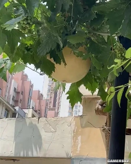 一图概括网络上90%的大长腿 字母了就不分手的囧图