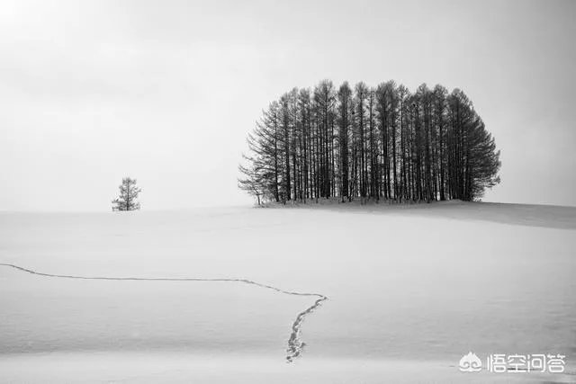 佳能的EOS R值不值得买？还是等下一代机型？