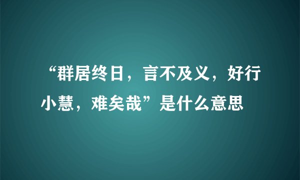 “群居终日，言不及义，好行小慧，难矣哉”是什么意思