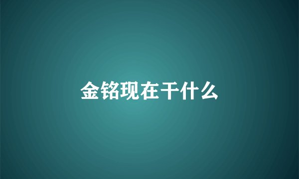 金铭现在干什么