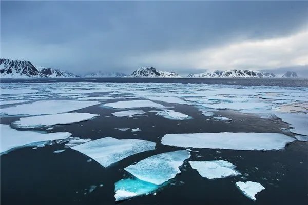 北极恐将面临夏季无冰，为何北极“无冰”现象会令大家如临大敌？