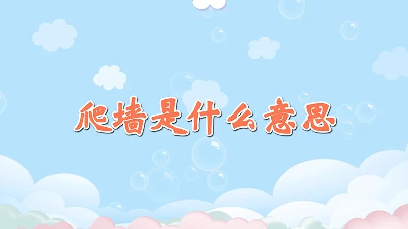 爬墙是什么意思